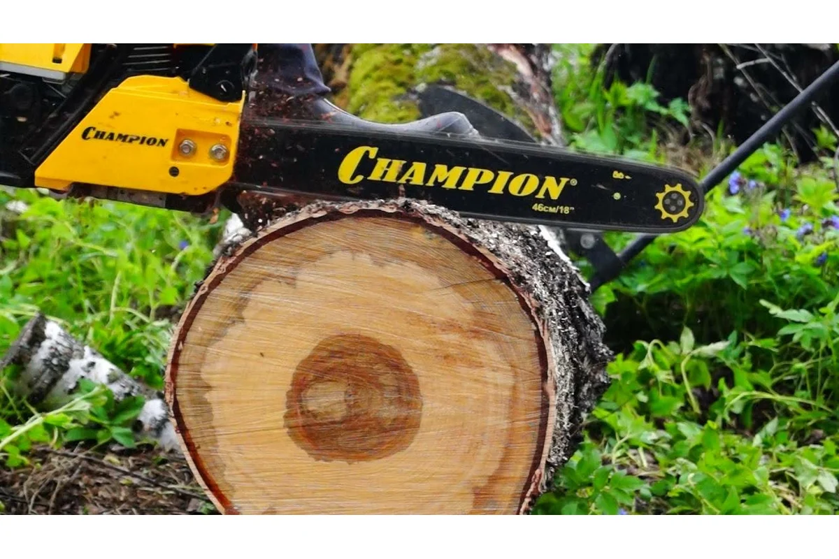 Бензопила Champion 240-16"-3/8-1,3-56+ подарочный набор A240-16